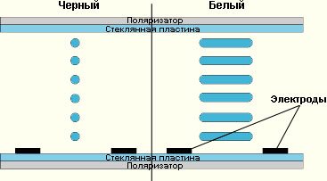 IPS (In-Plane Switching)